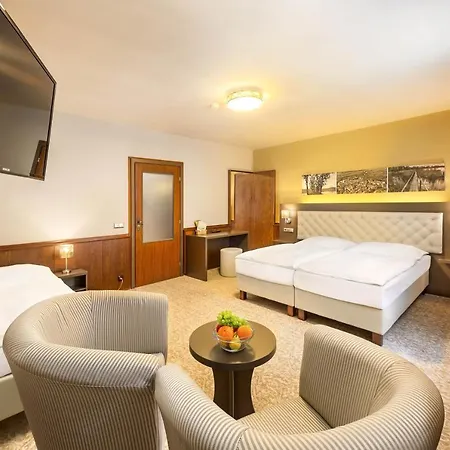 Wellness Zlata Hvezda Hotel