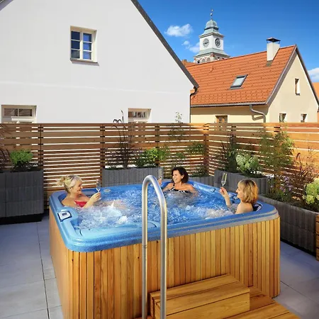 Hotel Wellness Zlata Hvezda Třeboň
