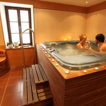 Wellness Zlata Hvezda Hotel