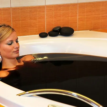 Zlata Hvezda Otel Třeboň