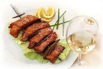 Hotel Wellness Zlata Hvezda 4*