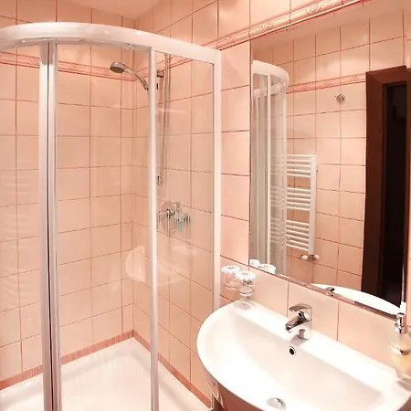 Wellness Zlata Hvezda 4* Třeboň