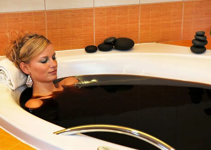 Zlata Hvezda Otel Třeboň